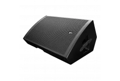 DAS Audio Road 15A Активный сценический монитор, 770 Вт., 15 дюймов